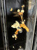 Chinoiserie Fire Screen