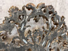 Carved Decorative, Gilded Headboard