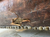 Antique Individual Leather Armchair