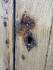 Rustic Small French Shop Counter Cupboard Storage