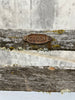 165.5cm Godin Garden Bench