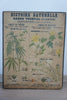 Set of three Botanical Posters